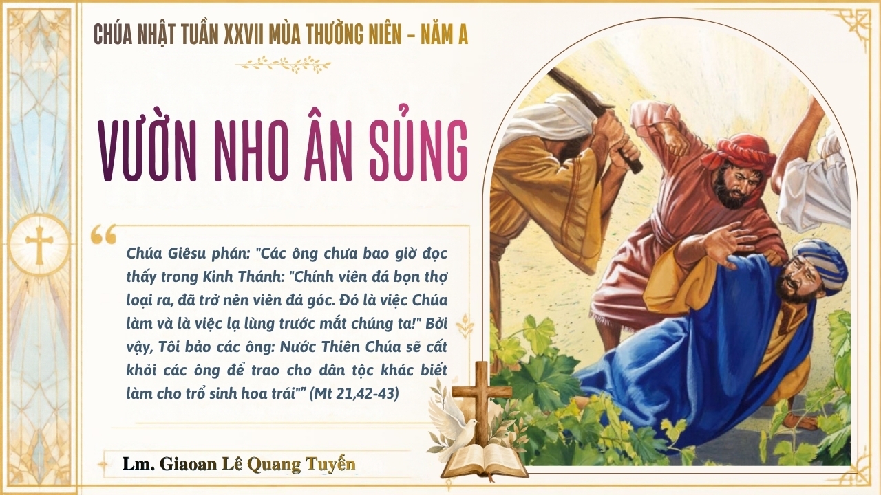 VƯỜN NHO ÂN SỦNG - Suy Niệm Lời Chúa | Chúa Nhật Tuần XXVII Mùa Thường Niên - Năm A | Mt 21, 33-43 | Lm Gioan Lê Quang Tuyến